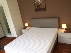St Patrick's Loft (D15), Apartment #169722882